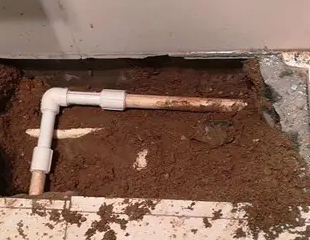 洛浦测漏水哪家好