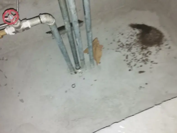 洛浦卫生间测漏水价格明细