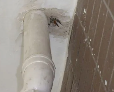 洛浦漏水检测哪家好